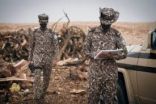 القوات الخاصة للأمن البيئي تضبط مخالفًا لنظام البيئة لنقله حطبًا محليًا في منطقة حائل