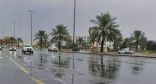 الهيئة العامة للأرصاد: تقلبات جوية تشهدها أجواء المملكة ابتداءً من غد وحتى يوم الجمعة