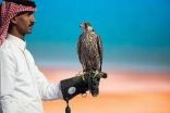 6.5 ملايين ريال مبيعات مزاد نادي الصقور السعودي حتى الليلة الـ 28