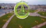 أمانة الجوف تنفذ جولات ميدانية لمعالجة مظاهر التشوه البصري والإصحاح البيئي