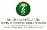فرع البيئة والمياه والزراعة بالمدينة المنورة ينظم معرضاً للزراعة العضوية