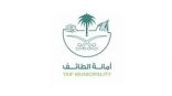 أمانة الطائف تعالج 20 ألف متر مربع من السفلته والترصيف بشوارع الطائف