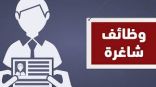 تعلن #شركة_مراكز_الاتصال توفر 4 #وظائف إدارية للجنسين عبر (#تمهير)