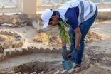 الهيئة الملكية لمكة والمشاعر تنظم حملة تطوعية للتشجير في العاصمة المقدسة