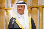 بقرار من وزير الطاقة.. نزع ملكية أراضي بمساحة 800 ألف م2 لصالح «الكهرباء» وتعويض أصحابها