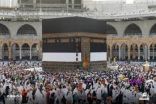نائب وزير الحج والعمرة : سيتم عقب موسم الحج إعادة بناء كامل منظومة منصات خدمات حجاج الداخل