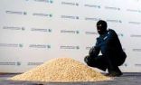 جمرك ميناء ضباء يُحبط محاولة تهريب 460 ألف حبة كبتاجون