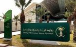فرع “البيئة” بالجوف يبدأ تنفيذ الخطة التشغيلية الموسمية لشهر رمضان المبارك