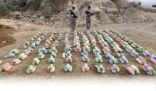 حرس الحدود بجازان يحبط تهريب (180) كيلوجرامًا من نبات القات المخدر