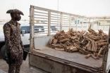 القوات الخاصة للأمن البيئي تضبط موقعًا مخالفًا لنظام البيئة بالمدينة المنورة استخدم لتخزين الحطب المحلي
