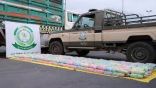 الأفواج الأمنية بمنطقة جازان تقبض على شخص بحوزته نبات القات المخدر