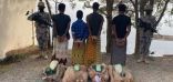 حرس الحدود بجازان يقبض على (4) مخالفين لنظام أمن الحدود لمحاولتهم تهريب (60) كيلوجرامًا من نبات القات المخدر