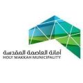 أمانة العاصمة المقدسة تواصل معالجة مظاهر التشوّه البصري
