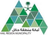 أمانة منطقة حائل تكثف أعمال مكافحة آفات الصحة العامة