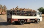 ضبط (62) شاحنة محملة بالحطب المحلي المعدّ للبيع في عدد من مناطق المملكة لمخالفتها لنظام الغابات والمراعي