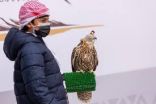 مهرجان الملك عبدالعزيز يخصص شوط ملواح للصقارين الصغار