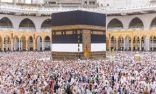 حج / وصول أكثر من ٥٣١ ألف حاج إلى المدينة المنورة حتى اليوم