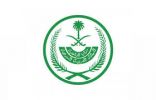 “الداخلية”: رفع قيود سفر المواطنين وفتح المنافذ بعد الأول من يناير 2021