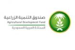 صندوق التنمية الزراعية يطلق برنامج التدريب التعاوني للخريجين الجدد