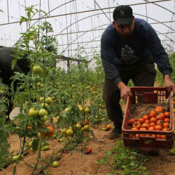 داعش يحاول مهاجمة شبكة الطاقة الأمريكية