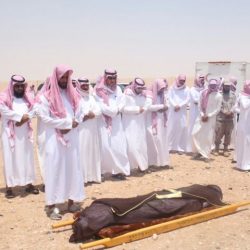 قصيدة الشاعر  تركي