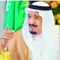 الإصابات بفيروس كورونا في باكستان ترتفع إلى 53218 حالة