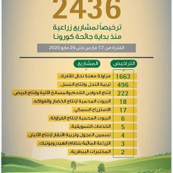 الكويت : شفاء 883 حالة من المصابين بـ”كورونا”.. وإجمالي المتعافين يرتفع إلى 10156