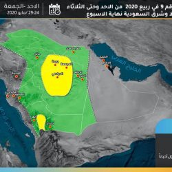 الطيور والاغصان تحتفل بالعيد