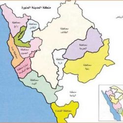 جامعة الملك فيصل تفوز بـ (4) منح بحثية لأبحاث كورونا