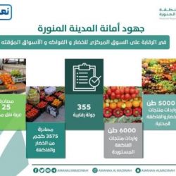 #عاجل| التحالف: اعتراض وتدمير صاروخ باليستي أطلقته مليشيات الحوثي باتجاه السعودية
