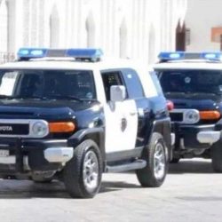 باحة الضباب ..الحياة والمياة