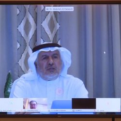 باحة الضباب ..الحياة والمياة