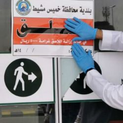 قرقاش: نثق في حكمة السعودية وحزمها لإدارة الأزمة القطرية