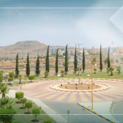 التعليم» تعلن آلية الاستعلام عن الحالة الوظيفية على سلم رواتب المعلمين الجديد