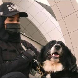 هيئة حقوق الإنسان تنفذ 2094 زيارة للسجون ودور التوقيف بالمملكة