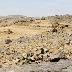 أول تعليق من “كاريلو” على أنباء حالته الصحية .