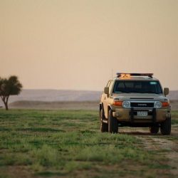 أمر ملكي بالتمديد لـ محافظ مؤسسة التقاعد لـ 4 سنوات