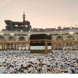 حساب المواطن : 3 إجراءات مهمة إذا كانت نتيجة الأهلية غير مؤهل