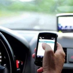 20 خدمة إلكترونية جديدة لمشاريع الثروة النباتية عبر منصة “زراعي”