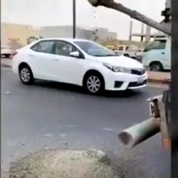 وسط إجراءات احترازية/// رئيس مركز الواديين يدشن فعالية “تحجير السيارات”بمنتزه الحبلة