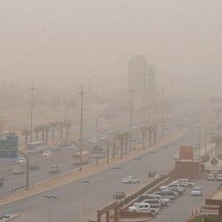 بأمر الملك.. إحالة مسؤول إلى التقاعد وإعفاء مسؤولين بسبب تعديات على أراضي البحر الأحمر