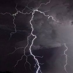 محافظ المندق يُشيد بجهود القائمين على فعاليات وسام البادية