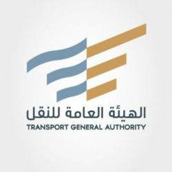 45 دقيقة في باص أبها السياحي تمنح المصطافين متعة المعرفة والاكتشاف