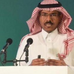 انطلاق ورشة العمل الاولى لسلسة الورش التحضيرية “رصد الواقع البيئي والتنوع الاحيائي الواقع والمأمول” بظهران الجنوب