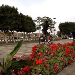 ” بلديتي طبب والسودة الفرعية ” ترفع أكثر من 1200 طن من النفايات