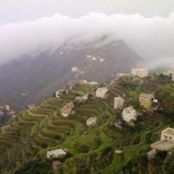 «الجمارك»: منع الأفراد من استيراد الشيشة.. وهذه شروط استرداد رسومنا