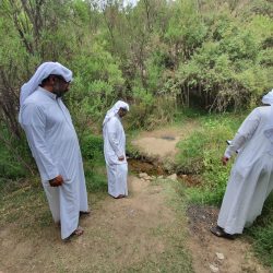 الإستثنائي غرناطة يعانق ذهب مونديال عسير على أنغام موطن العز