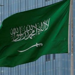السعودية تحكم بالإعدام على سبعة “دواعش”