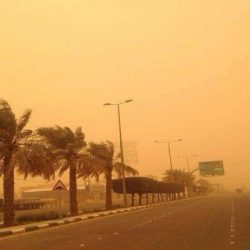 التخصصات الصحية تتيح لطلبة الامتياز التقديم على اختباراتها عبر “ممارس بلس”