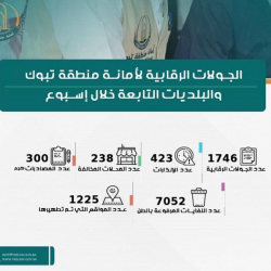“البيئة” تحصل على شهادة التميّز بمنتدى القمة العالمية لمجتمع المعلومات 2020